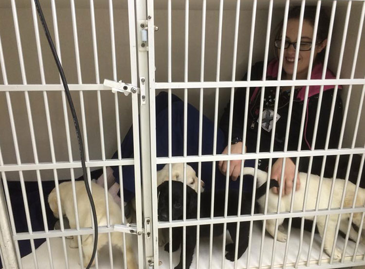 Dewdney Diaries from December 2014