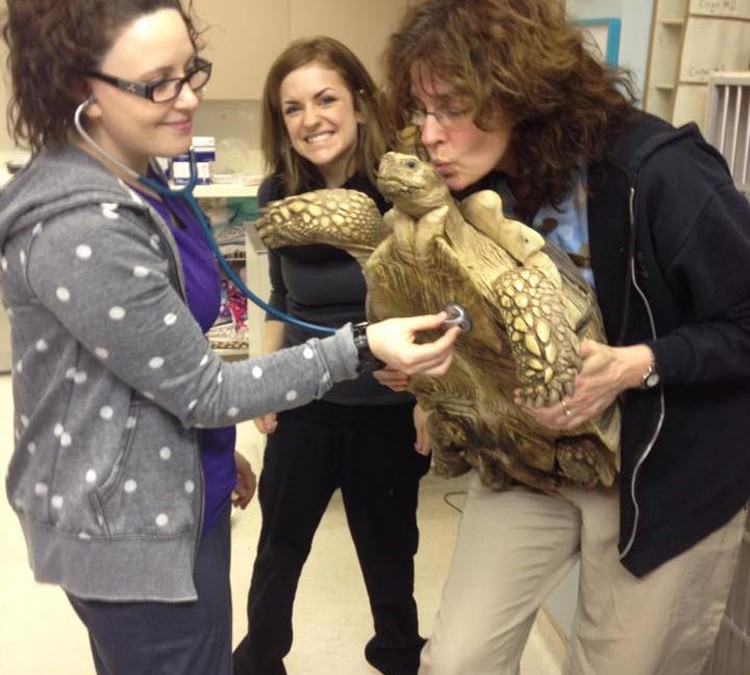 Dewdney Diaries from February 2015